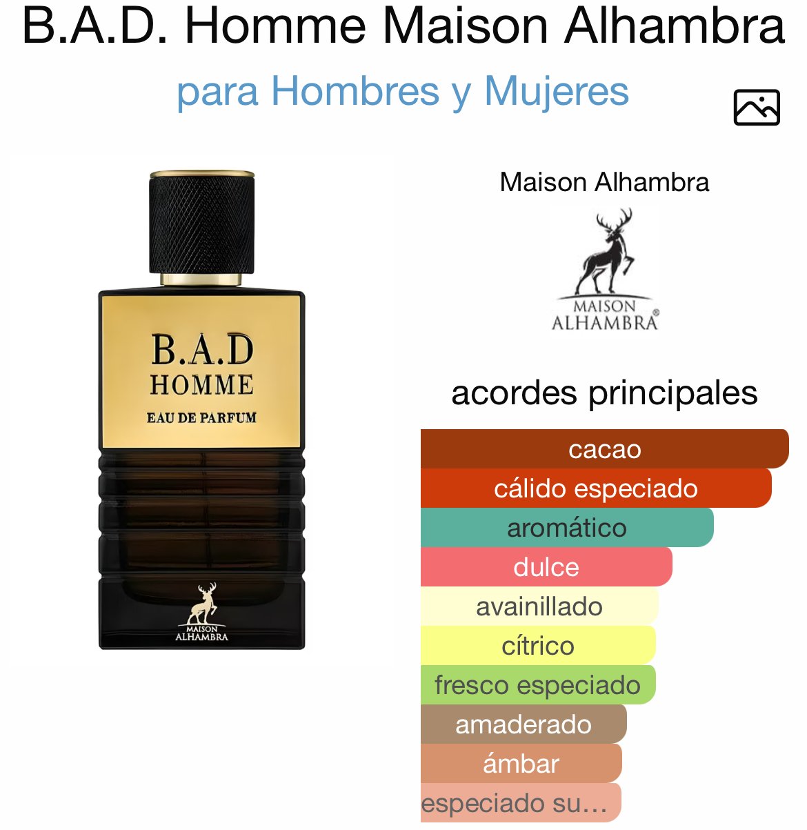 B.A.D. Homme Maison Alhambra 100ml - Image 4